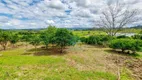 Foto 6 de Fazenda/Sítio com 3 Quartos à venda, 33000m² em Pinheirinhos, Santo Antônio da Patrulha