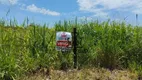 Foto 2 de Fazenda/Sítio com 3 Quartos à venda, 5050m² em Usina Três Bocas, Londrina