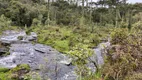 Foto 2 de Fazenda/Sítio à venda, 39000000m² em Rural, Rio Rufino