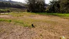 Foto 10 de Lote/Terreno à venda, 10000m² em Vale dos Vinhedos, Bento Gonçalves