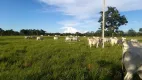 Foto 2 de Fazenda/Sítio com 3 Quartos à venda, 139m² em Zona Rural, Januária