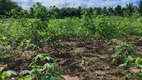 Foto 6 de Fazenda/Sítio com 1 Quarto à venda, 4000m² em Sitio Arena, São José de Mipibu