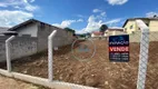 Foto 4 de Lote/Terreno à venda, 330m² em Vila Rica, São Pedro