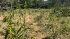 Foto 10 de Fazenda/Sítio à venda, 10000m² em , Cocalzinho de Goiás