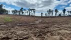 Foto 8 de Fazenda/Sítio à venda, 196000m² em Centro, Campo do Tenente