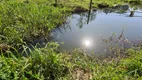 Foto 13 de Fazenda/Sítio à venda, 6000m² em Zona Rural, Paulo Lopes