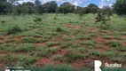 Foto 6 de Fazenda/Sítio à venda, 2018m² em Zona Rural, Aliança do Tocantins