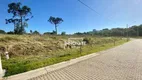 Foto 4 de Lote/Terreno à venda, 570m² em Palmares, Ivoti