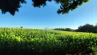 Foto 3 de Fazenda/Sítio à venda, 121000m² em Centro, Toledo