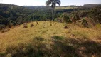 Foto 20 de Fazenda/Sítio à venda, 193600m² em Centro, São Miguel Arcanjo