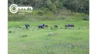 Foto 18 de Fazenda/Sítio à venda, 193600m² em Centro , Sete Barras