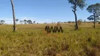 Foto 14 de Fazenda/Sítio à venda, 16456000m² em Zona Rural, Santa Maria do Tocantins