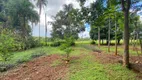 Foto 25 de Fazenda/Sítio com 4 Quartos à venda, 150m² em Zona Rural, Trindade