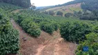 Foto 19 de Fazenda/Sítio com 2 Quartos à venda, 120000m² em Zona Rural, São João da Mata