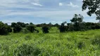 Foto 22 de Fazenda/Sítio à venda, 484000m² em Zona Rural, Itapirapuã