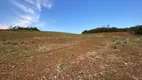 Foto 13 de Fazenda/Sítio à venda, 25000m² em Pacotuba, Almirante Tamandaré