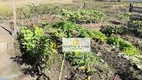 Foto 12 de Fazenda/Sítio com 2 Quartos à venda, 300m² em Putim, São José dos Campos