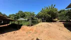 Foto 56 de Fazenda/Sítio com 4 Quartos à venda, 4000m² em , São José do Rio Pardo