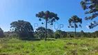 Foto 4 de Fazenda/Sítio à venda, 10000m² em , São Francisco de Paula