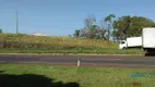 Foto 14 de Fazenda/Sítio com 3 Quartos à venda, 3000m² em Parque Industrial Buena Vista, Londrina
