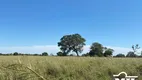 Foto 6 de Fazenda/Sítio à venda em Zona Rural, São Miguel do Araguaia