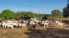 Foto 14 de Fazenda/Sítio com 1 Quarto à venda, 10m² em Zona Rural, João Pinheiro