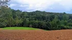 Foto 8 de Fazenda/Sítio com 3 Quartos à venda, 12100m² em Centro, Camanducaia