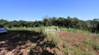 Foto 3 de Lote/Terreno à venda, 30000m² em , Presidente Lucena