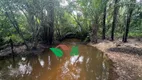 Foto 17 de Fazenda/Sítio à venda, 4000m² em Povoado, Pedras de Fogo