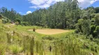 Foto 57 de Galpão/Depósito/Armazém com 2 Quartos à venda, 80000m² em Lomba Alta, Alfredo Wagner