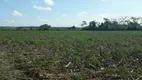 Foto 5 de Fazenda/Sítio com 3 Quartos à venda, 20000m² em Monte Alegre, Monte Alegre