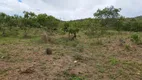 Foto 4 de Fazenda/Sítio à venda, 20000m² em Zona Rural, Corumbá de Goiás