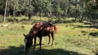 Foto 16 de Fazenda/Sítio à venda, 143082m² em Centro, Campo Alegre