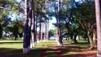 Foto 3 de Fazenda/Sítio com 4 Quartos para alugar, 20000m² em Sao Benedito da Capelinha Zona Rural, São José do Rio Preto