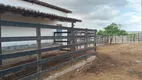 Foto 11 de Fazenda/Sítio com 4 Quartos à venda, 400000m² em Zona Rural, Macaíba