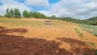 Foto 20 de Fazenda/Sítio com 1 Quarto à venda, 72600m² em Tindiquera, Araucária