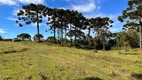 Foto 5 de Lote/Terreno à venda, 20000m² em , Urubici