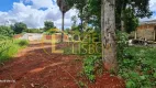 Foto 25 de Lote/Terreno com 1 Quarto à venda, 2000m² em Park Way , Brasília