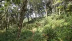 Foto 29 de Fazenda/Sítio com 3 Quartos à venda, 30000m² em Pedra Branca, Alfredo Wagner