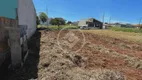 Foto 4 de Lote/Terreno à venda, 264m² em Centro, Sabáudia