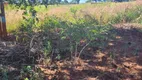 Foto 4 de Fazenda/Sítio com 2 Quartos à venda, 2500m² em , Bonfinópolis