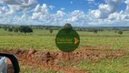 Foto 14 de Fazenda/Sítio à venda, 57930m² em Panorama Parque, Goiânia