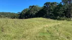 Foto 9 de Lote/Terreno à venda, 20000m² em Rural, Rio Rufino