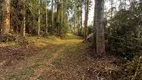 Foto 6 de Fazenda/Sítio à venda, 20000m² em Zona Rural, Campina Grande do Sul