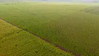 Foto 4 de Fazenda/Sítio com 4 Quartos à venda, 26600000m² em Zona Rural, Catalão