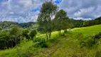 Foto 8 de Fazenda/Sítio à venda, 45000m² em Zona Rural, Gonçalves