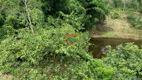 Foto 6 de Fazenda/Sítio com 2 Quartos à venda, 140000m² em , Pedro de Toledo