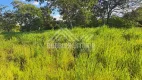 Foto 2 de Fazenda/Sítio com 3 Quartos à venda, 10m² em Centro, Luislândia