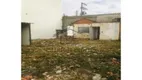 Foto 3 de Lote/Terreno para alugar, 240m² em Cidade Patriarca, São Paulo