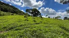 Foto 36 de Fazenda/Sítio com 8 Quartos à venda, 840000m² em Zona Rural, Cláudio